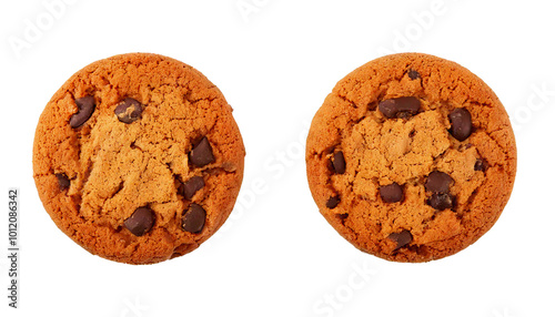 chocolate chip cookies isolated on white