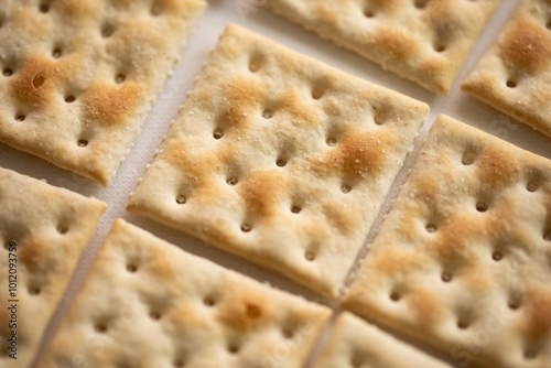 closeup of salt saltine crackers