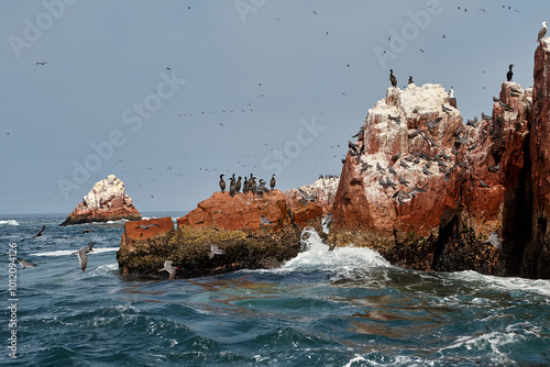 The Ballestas Islands, located off the coast of Paracas in Peru, are a stunning natural wonder often referred to as the 