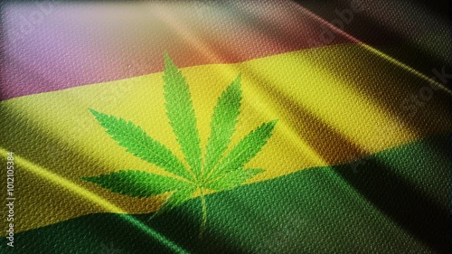 Reggae flag footage video
