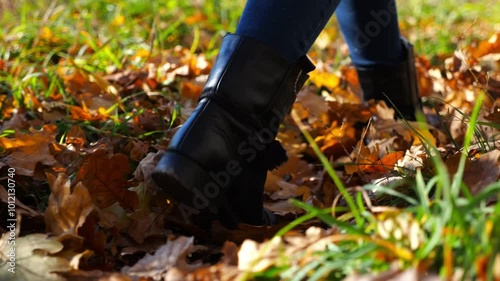 Wallpaper Mural Close up to female feet in boots going along trail on fallen dry leaves. Legs of young woman stepping along path outdoor. Girl walking at nature sunny autumn day. Low view Slow motion Torontodigital.ca