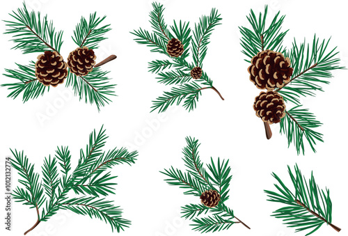 A set of green pine branches with Christmas balls. Vector illustration of a Christmas pine flower with large and small balls isolated on a white background.