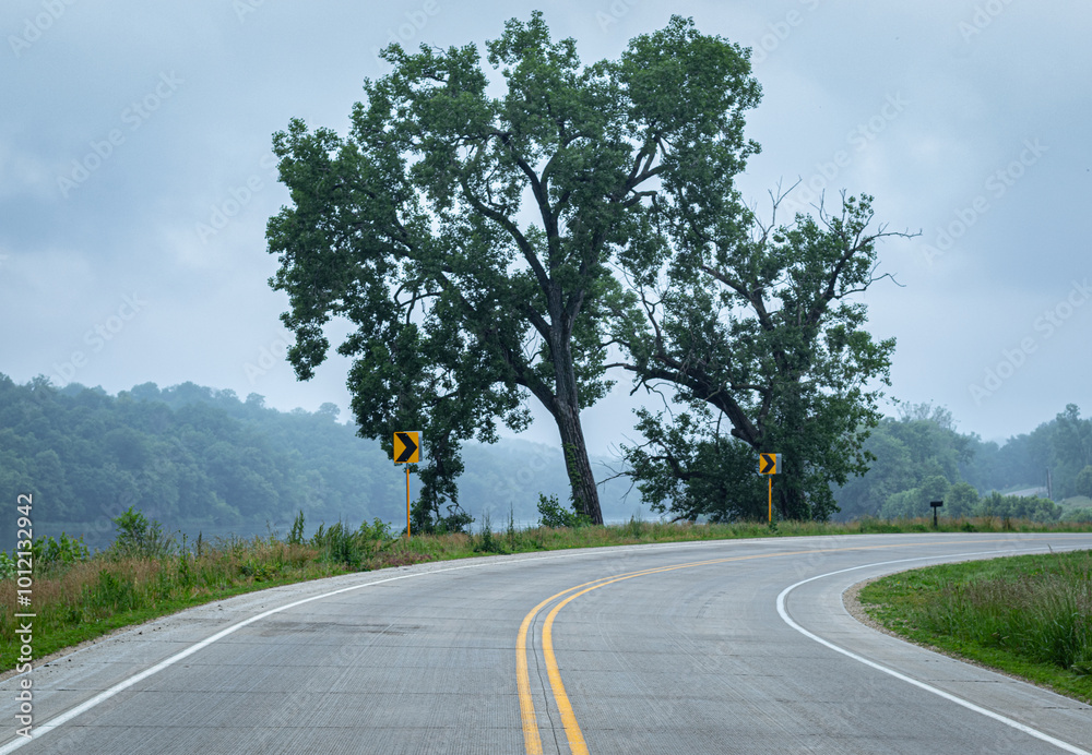 Fototapeta premium Tree on Cedar River Road