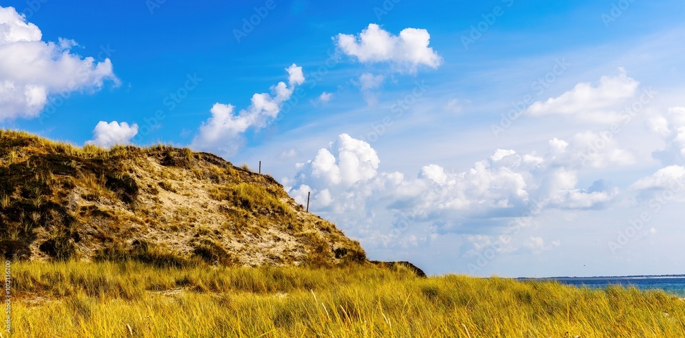 Dune and cliff on the North Sea beach on Sylt