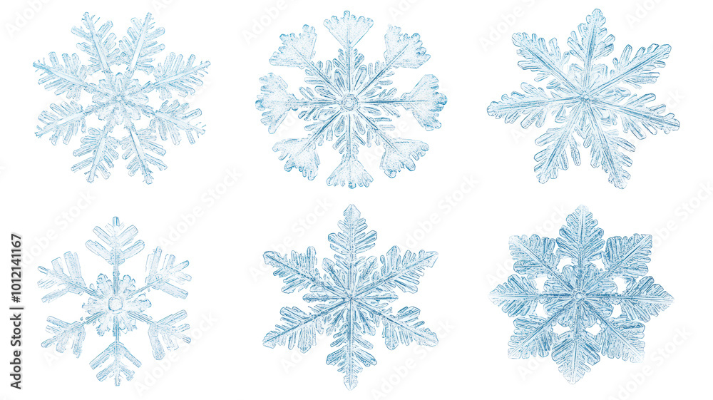 Set of diverse snowflakes isolated on white background, detailed macro photography of real snow crystals showcasing intricate patterns and unique shapes, winter nature close-up. Set of diverse snowflakes isolated on white background, detailed macro photography of real snow crystals showcasing intricate patterns and unique shapes, winter nature close-up.