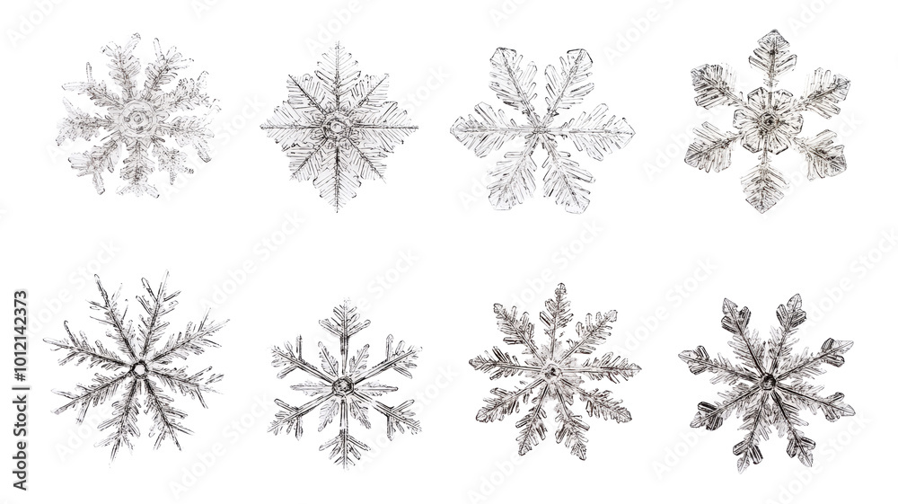 Set of diverse snowflakes isolated on white background, detailed macro photography of real snow crystals showcasing intricate patterns and unique shapes, winter nature close-up. Set of diverse snowflakes isolated on white background, detailed macro photography of real snow crystals showcasing intricate patterns and unique shapes, winter nature close-up.