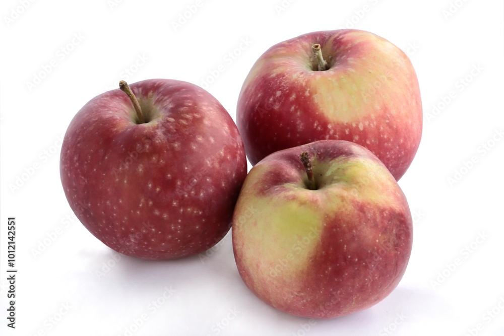 tasty red and yellow apples isolated close up tasty red and yellow apples isolated close up