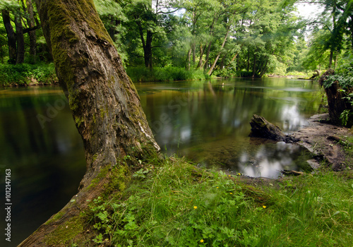 Summer river