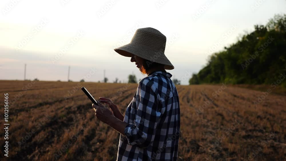 Female agronomist using digital tablet on wheat meadow at dusk. Adult farmer in straw hat monitoring harvest on barley field at sunset. Beautiful scenic landscape. Concept of agricultural business Female agronomist using digital tablet on wheat meadow at dusk. Adult farmer in straw hat monitoring harvest on barley field at sunset. Beautiful scenic landscape. Concept of agricultural business