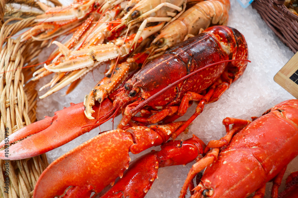 lobster isolated on white background lobster isolated on white background