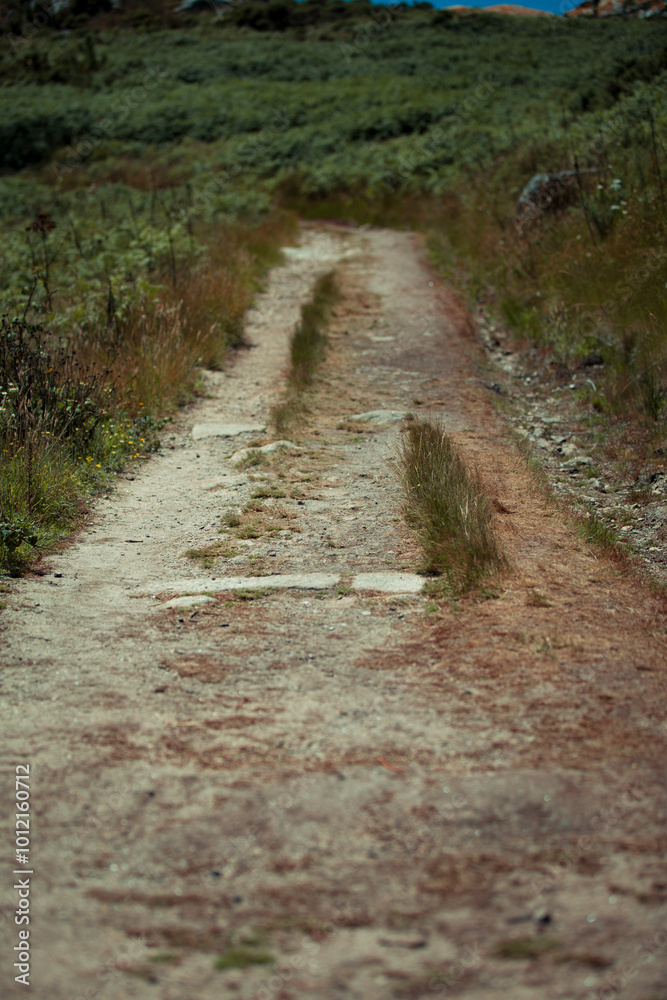Detalhe de caminho Detalhe de caminho