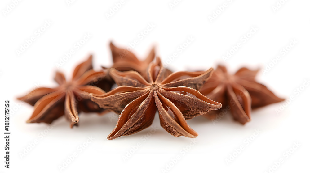 Whole Anise Seeds | Aromatic Spice with Sweet Licorice Flavor for Culinary and Medicinal Uses Whole Anise Seeds | Aromatic Spice with Sweet Licorice Flavor for Culinary and Medicinal Uses