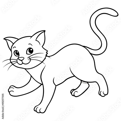 kitty