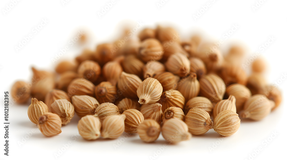 Whole Coriander Seeds Emphasising Their Round Shape | Fresh and Aromatic Spice for Culinary Use Whole Coriander Seeds Emphasising Their Round Shape | Fresh and Aromatic Spice for Culinary Use