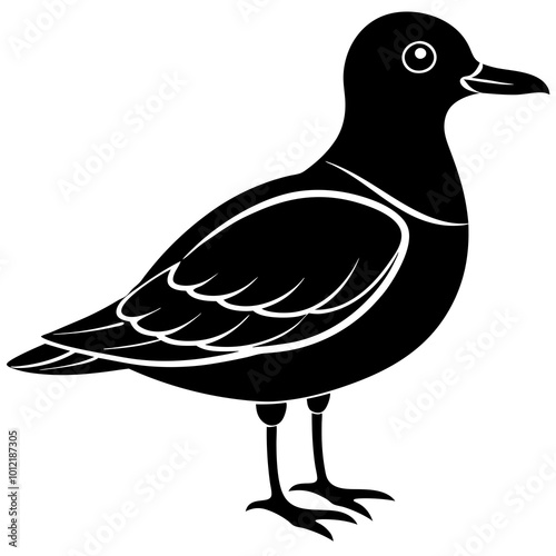 Bird Illustrations Diverse Vector Graphics for Nature and Wildlife Projects