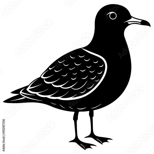 Bird Illustrations Diverse Vector Graphics for Nature and Wildlife Projects