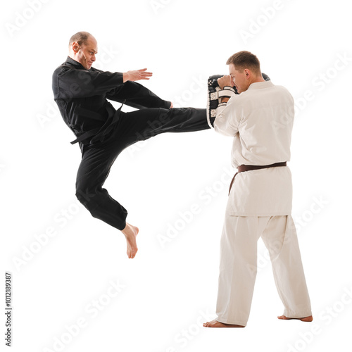 Martial arts photo