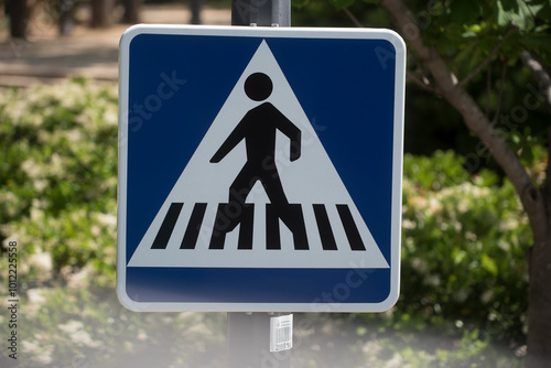 pedestrian walking on the street