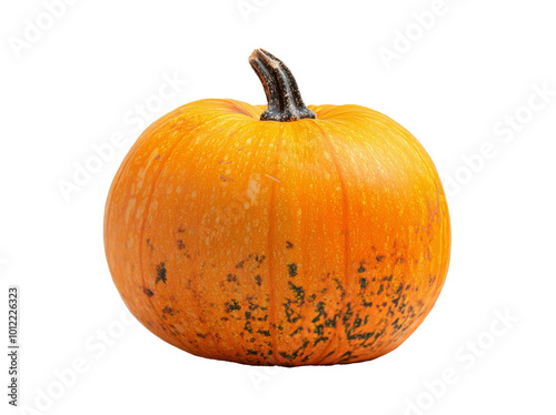 Bright orange pumpkin resting on a white background in preparation for fall d...