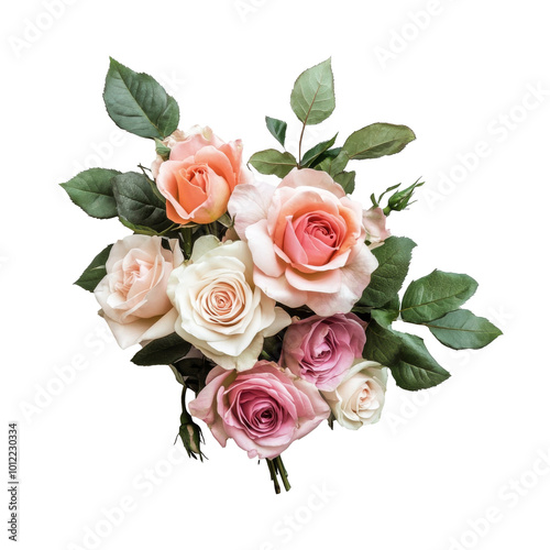 Beautiful orange and pink roses arranged elegantly on a white background