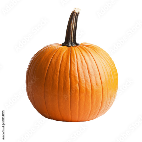 A vibrant orange pumpkin ready for autumn decorations and festive celebrations