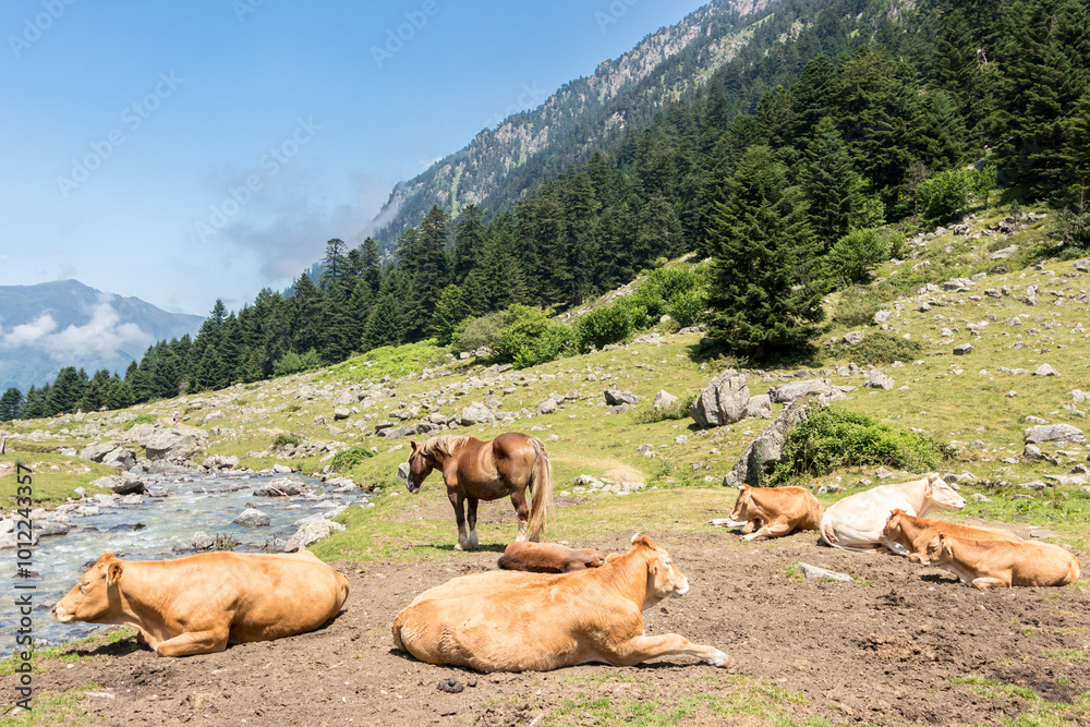 Obraz premium La Fruitière