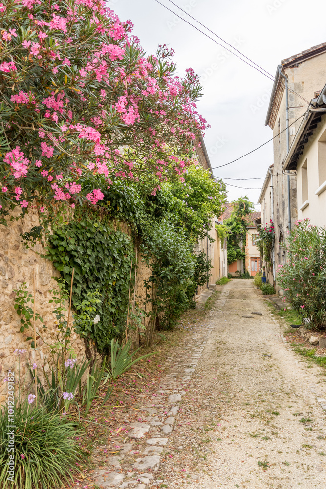 Fototapeta premium La Bastide d'Armagnac
