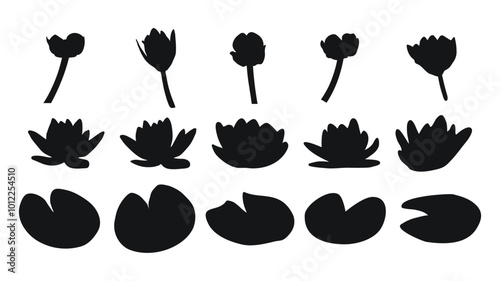 Set of water lily, water lilies, silhouette of plant buds and foliage
