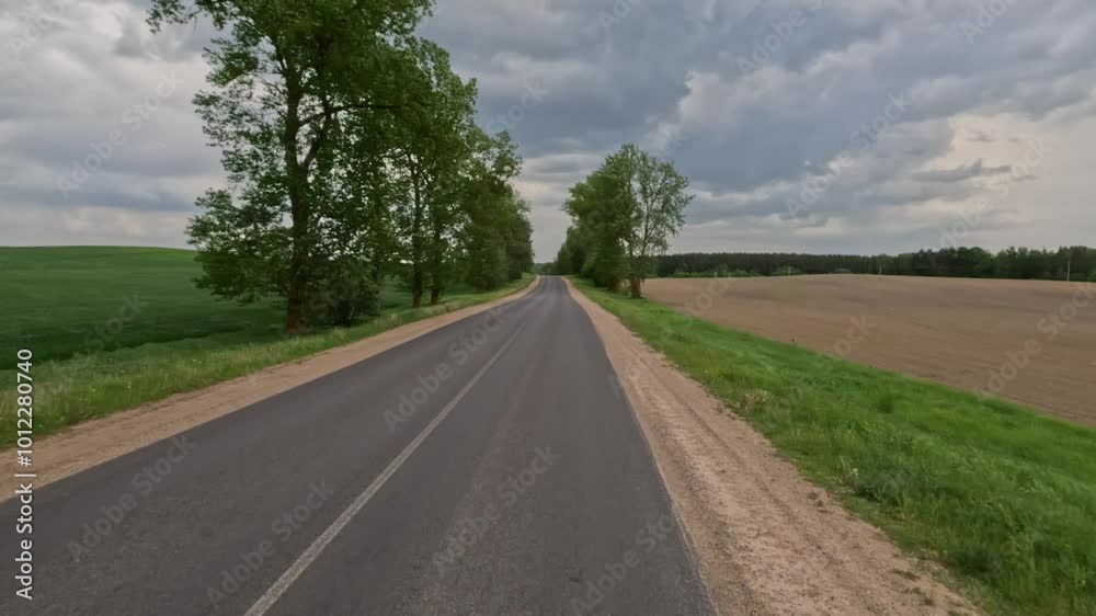 Road view on a summer day. Highways, roadside and white road line markings. Road view on a summer day. Highways, roadside and white road line markings.