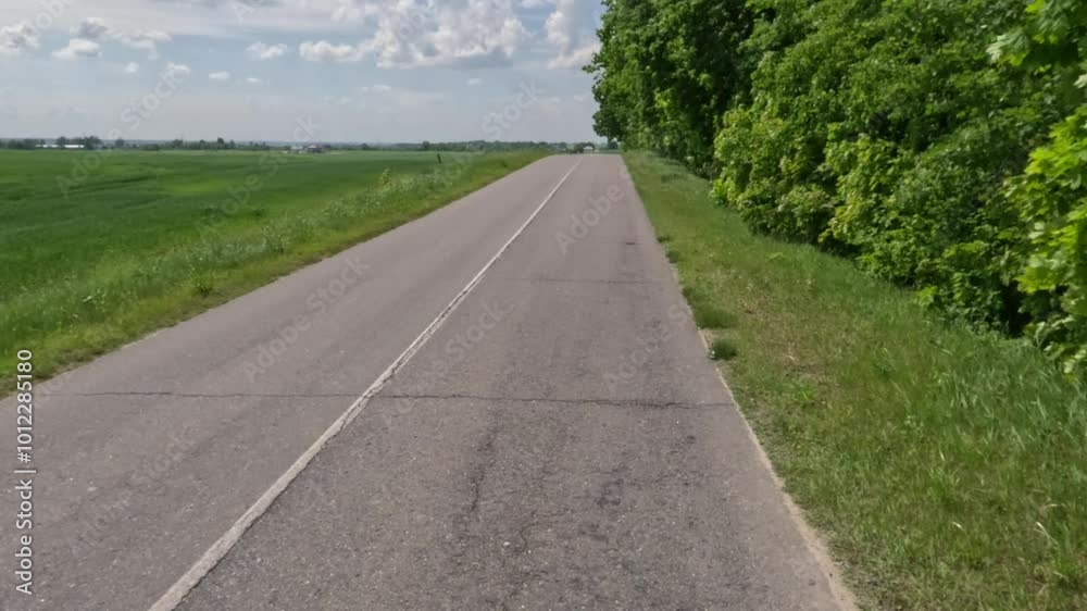 Road view on a autumn day. Highways and sun, roadside and white road line markings.