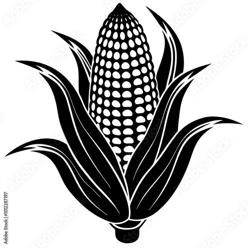 corn on white background