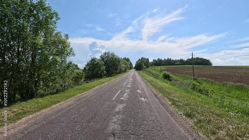 Road view on a summer day. Highways, roadside and white road line markings. Road view on a summer day. Highways, roadside and white road line markings.