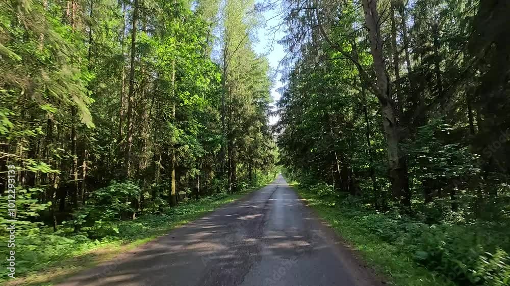 Road view on a summer day. Highways, roadside and white road line markings. Road view on a summer day. Highways, roadside and white road line markings.