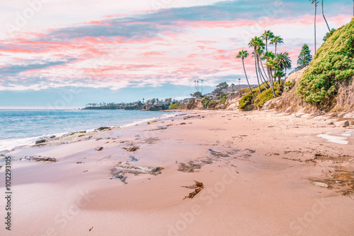 Beautiful landscape of Laguna Beach ocean coastline with palm trees in Treasure Island Park, Orange County, California, USA
