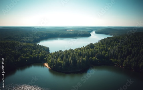 Aerial landscape of the lake and part of the green forest in a daylight.