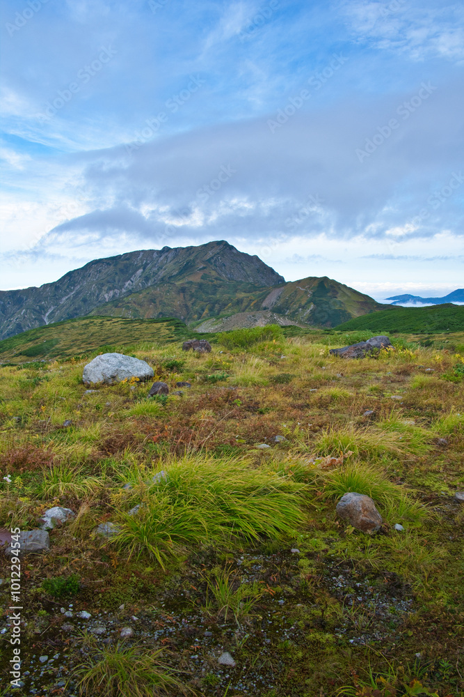 Fototapeta premium 富山県 立山室堂平の紅葉