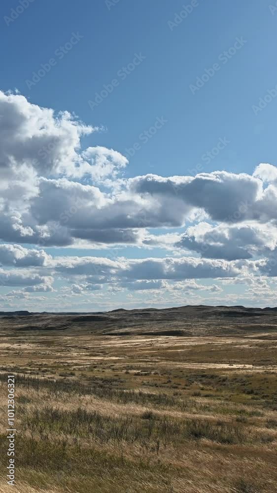 Vertical format of dry grass blowing in a strong wind with hills and sky in the background
Vertical format of dry grass blowing in a strong wind with hills and sky in the background