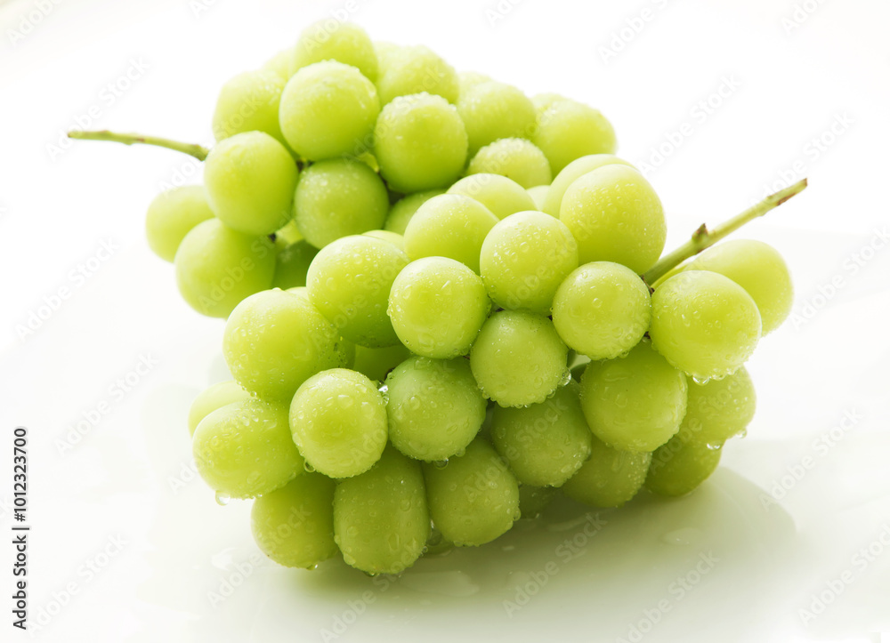 シャインマスカット　　白バック