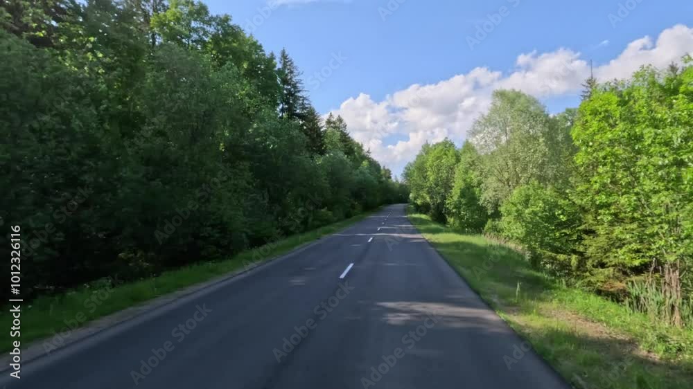 Road view on a summer day. Highways and cars, roadside and white road line markings. Road view on a summer day. Highways and cars, roadside and white road line markings.