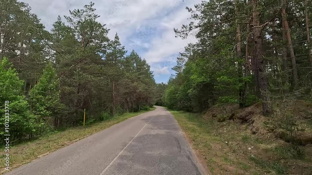 Road view on a summer day. Highways and cars, roadside and white road line markings. Road view on a summer day. Highways and cars, roadside and white road line markings.