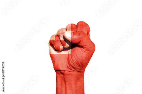 Man hand fist of Tonga flag painted, fist flag, Strength, Power, Protest concept. photo