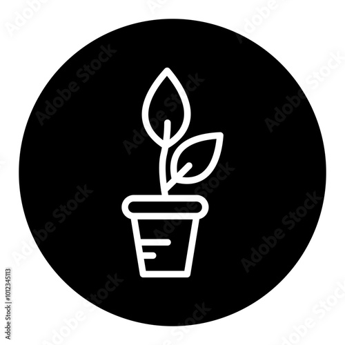 Plant Pot Vector Icons