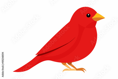 Red canary on its perch vector art illustration 