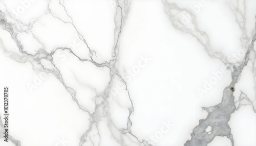 A marble tile featuring intricately gray veins running through a soft white background, ideal for luxurious interior design, adding elegance and sophistication to any space.

