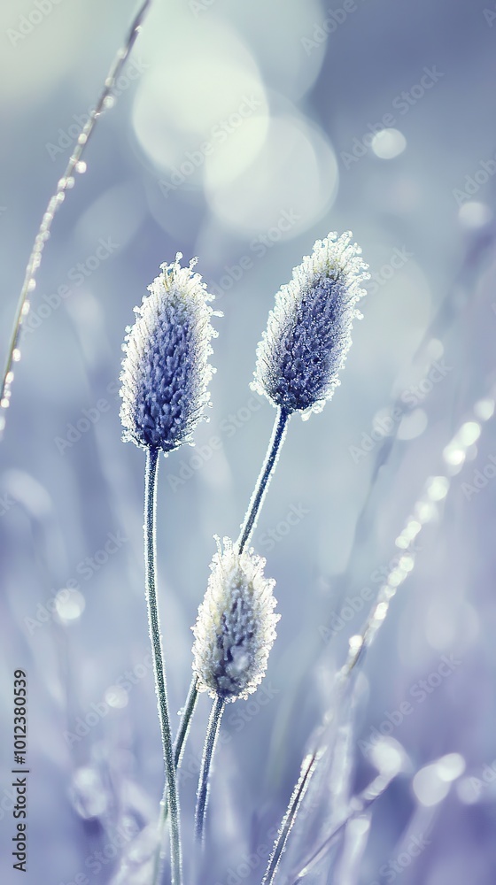 A romantic and elegant artistic close-up of a catkin in a winter morning, delicately adorned with dew drops resting on the soft grass. This enchanting image captures the subtle beauty of nature A romantic and elegant artistic close-up of a catkin in a winter morning, delicately adorned with dew drops resting on the soft grass. This enchanting image captures the subtle beauty of nature