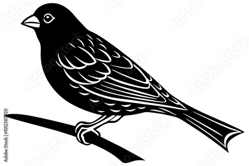  Cute  canary bird vector art illustration