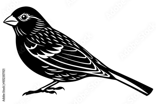  Cute canary bird vector art illustration