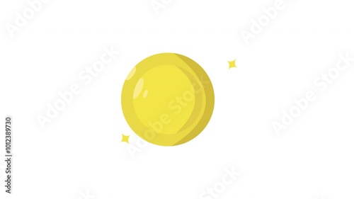 payment success symbol icon animation