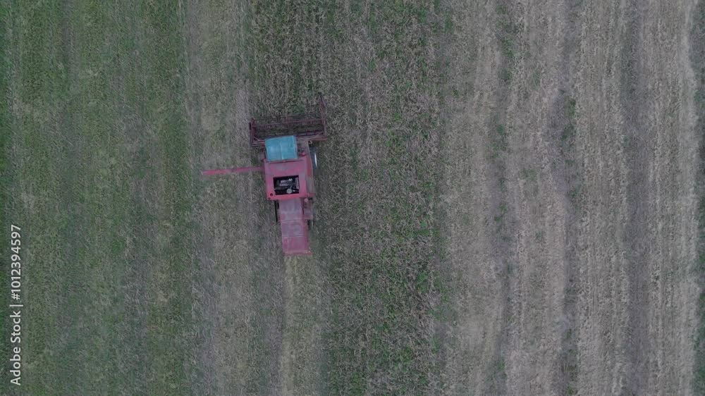 Aerial view of a red tractor working on a green field, showcasing modern farming techniques and vast agricultural landscapes. Aerial view of a red tractor working on a green field, showcasing modern farming techniques and vast agricultural landscapes.