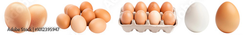 Fresh egg png cut out element set photo